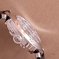 Cartier Pasha Whitegold Grille Diamonds 2373 