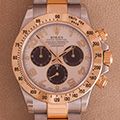 Rolex Daytona Panda 