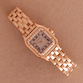 Cartier Panthere Diamond 