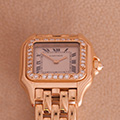 Cartier Panthere Diamond 