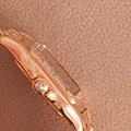 Cartier Panthere Diamond 