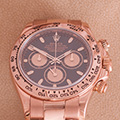 Rolex Daytona Everose 
