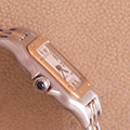 Cartier Panthere Small Model 