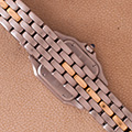 Cartier Panthere Small Model 