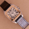 Cartier Santos 100 GM Goud Staal 