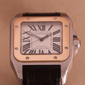 Cartier Santos 100 GM Goud Staal 