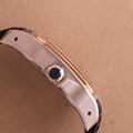 Cartier Santos 100 GM Goud Staal 