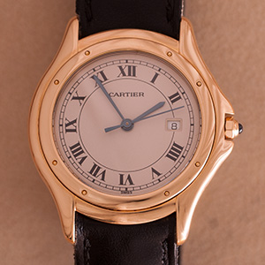 Cartier Panthere Cougar 