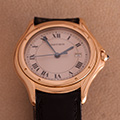 Cartier Panthere Cougar 