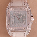 Cartier Santos 100 Medium Model Diamond 