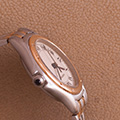 Cartier Cougar 