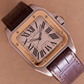 Cartier Santos 100 GM Goud Staal 