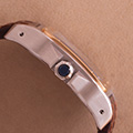 Cartier Santos 100 GM Goud Staal 