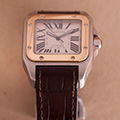 Cartier Santos 100 GM Goud Staal 