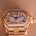 Cartier Roadster GM Automatic 