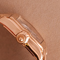 Cartier Roadster GM Automatic 