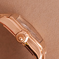 Cartier Roadster GM Automatic 