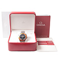 Omega Seamaster Planet Ocean 