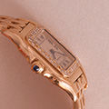 Cartier Panthere PM 