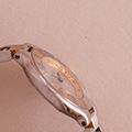 Cartier Must 21 PM 