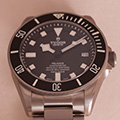 Tudor Pelagos 