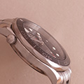 Omega Seamaster Professional 300M Co-Axcial 