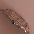 Cartier Panthere Small Model 