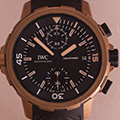 IWC Aquatimer Charles Darwin Bronze 