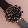 IWC Aquatimer Charles Darwin Bronze 