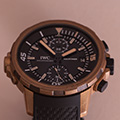 IWC Aquatimer Charles Darwin Bronze 