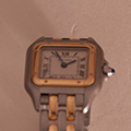 Cartier Panthere Small Model 