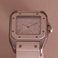 Cartier Santos 100 Medium 2878 