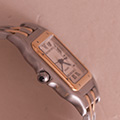 Cartier Panthere Large 2 Row 