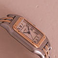 Cartier Panthere Large 2 Row 