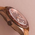 Tudor Black Bay Bronze 