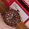 Tudor Black Bay Bronze 