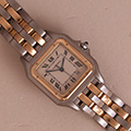 Cartier Panthere Large 2 Row 