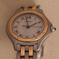 Cartier Panthere Cougar 