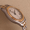 Cartier Panthere Cougar 