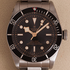 Tudor Black Bay Rivet 