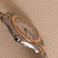 Cartier Panthere Cougar 