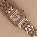 Cartier Panthere Large Model 2-row 