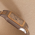 Cartier Panthere Large Model 2-row 