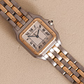 Cartier Panthere Large Model 2-row 