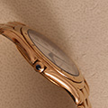 Cartier Panthere Cougar Large Model 