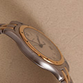 Cartier Panthere Cougar Large Model 
