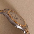 Cartier Panthere Cougar Large Model 