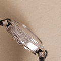 Cartier Pasha whitegold Diamonds 2528 