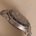 Omega Seamaster Professional Co-Axial 