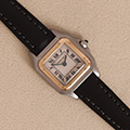 Cartier Panthere Ladies 